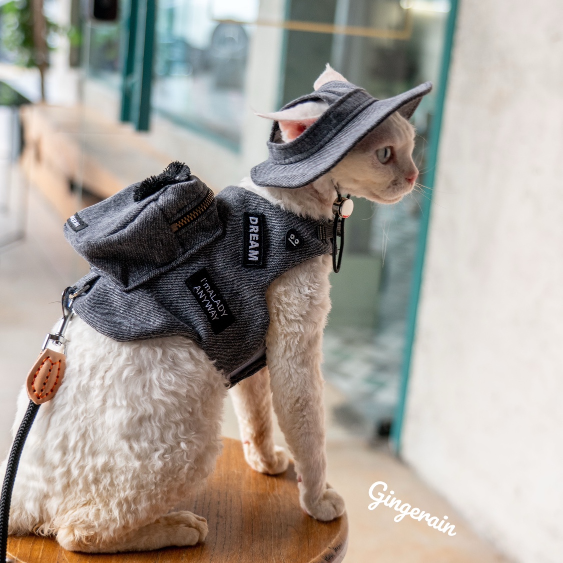 Luxury Bags Cute - เสื้อกั๊กสำหรับน่ารักสีดำแมว gotas katten Sphynx เดวอนเร็กซ์กระเป๋าเป้สะพายหลังหรูหราทำด้วยมือ