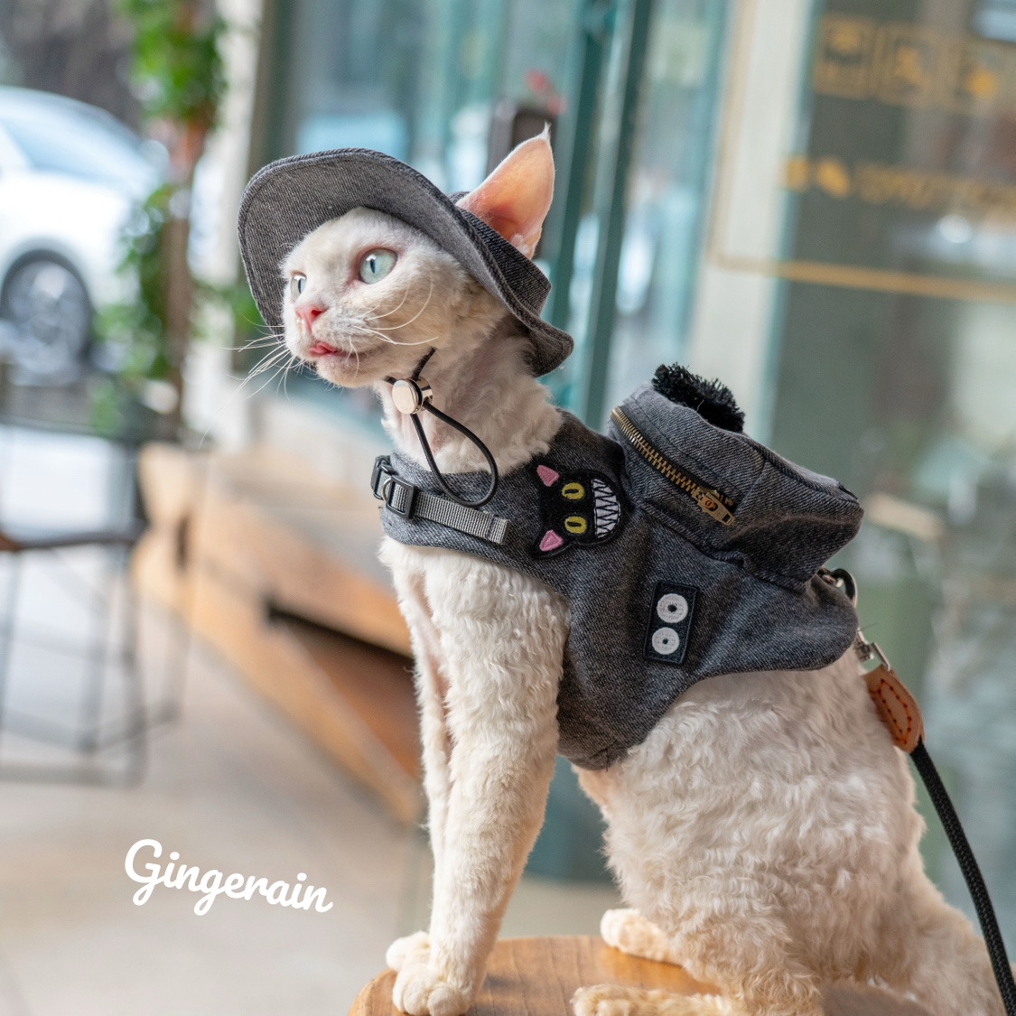 เสื้อกั๊กสำหรับน่ารักสีดำแมว g - Luxury Bags Cute บทวิจารณ์และราคา